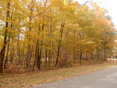 Paw Paw River Lot For Sale in Watervliet Michigan