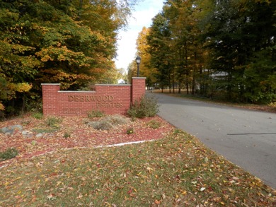 Beautiful 1 acre lot where you can build the home of your - photo 2