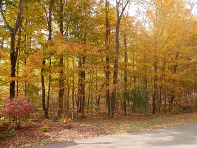 Beautiful 1 acre lot where you can build the home of your - photo 3