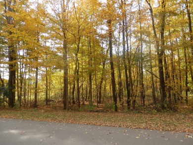 Beautiful 1 acre lot where you can build the home of your - photo 4