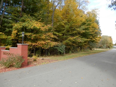 Beautiful 1 acre lot where you can build the home of your - photo 5