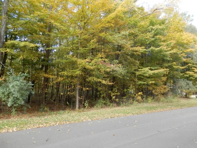 Beautiful 1 acre lot where you can build the home of your - photo 6