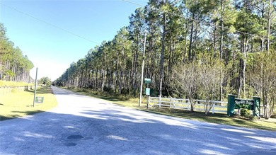 Long Pond - Levy County Lot For Sale in Chiefland Florida