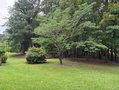 Lake time perfected in this 3 bedroom lake cabin! Large - photo 5