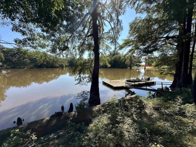 Lake Home For Sale in Knobel, Arkansas