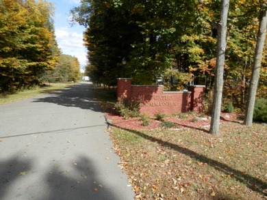 Beautiful 1.1 Acre lot where you can build the home our dreams! - photo 2