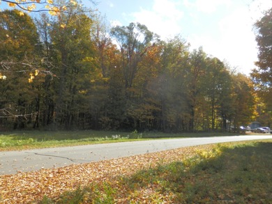 Beautiful 1.1 Acre lot where you can build the home our dreams! - photo 3