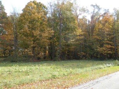 Beautiful 1.1 Acre lot where you can build the home our dreams! - photo 4