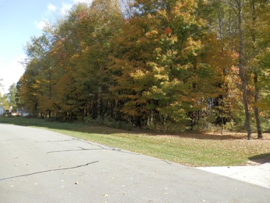 Beautiful 1.1 Acre lot where you can build the home our dreams! - photo 5