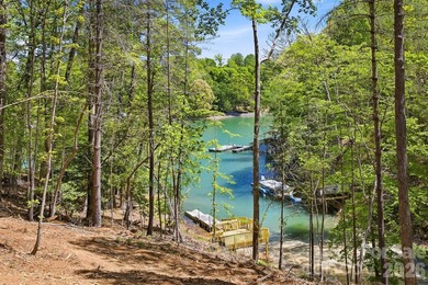 Long-range water views and a fully equipped dock setup make this - photo 12