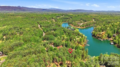 Long-range water views and a fully equipped dock setup make this - photo 16