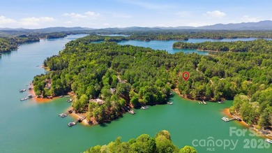 Long-range water views and a fully equipped dock setup make this - photo 17