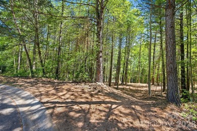Long-range water views and a fully equipped dock setup make this - photo 19