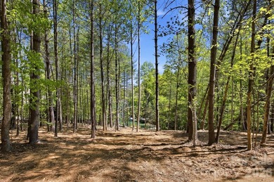 Long-range water views and a fully equipped dock setup make this - photo 20