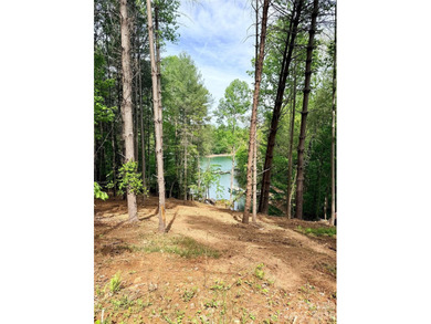 Long-range water views and a fully equipped dock setup make this - photo 23