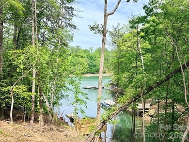 Long-range water views and a fully equipped dock setup make this - photo 25