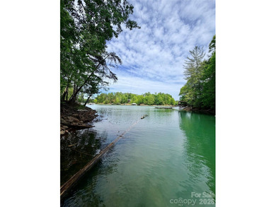 Long-range water views and a fully equipped dock setup make this - photo 30