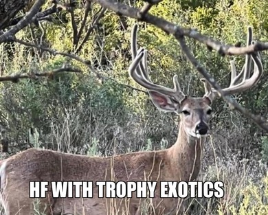 (private lake, pond, creek) Acreage For Sale in Cross Cut Texas