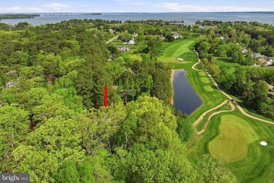 Stunning One-Level Luxury Living with Golf Course & Pond Views - photo 13