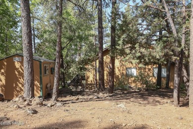 Welcome to your Cabin dream home. Great investment. This home is - photo 22
