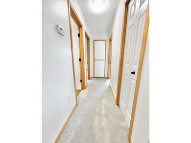The ultimate lake-view home, Steps from the Spring Lake public - photo 16