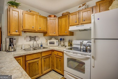 New Price-Deeded Renovated Home w/ New Dock on the Alcovy - photo 21