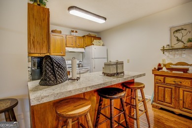 New Price-Deeded Renovated Home w/ New Dock on the Alcovy - photo 23