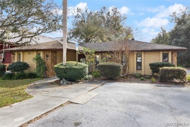 2.9 ACRES WITH FRONTAGE ON BUSY SR 44/GULF TO LAKE HWY IN CITY - photo 28