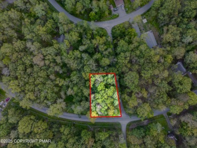 Lake Lot For Sale in Pocono Lake, Pennsylvania