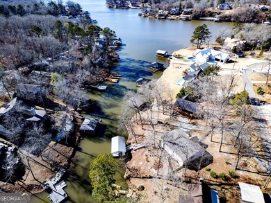 New Price-Deeded Renovated Home w/ New Dock on the Alcovy - photo 57