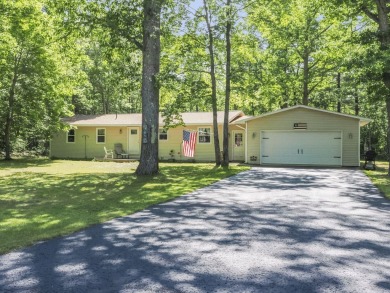 Lake Home For Sale in Indian River, Michigan