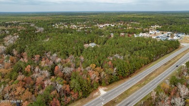 Approximately 20 acres of land in Hampstead, Pender County with - photo 33
