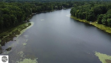 Lake Acreage For Sale in Harrison, Michigan