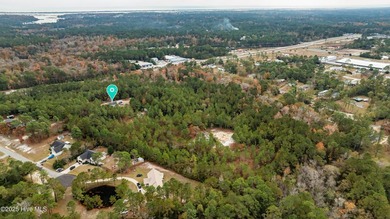 Approximately 20 acres of land in Hampstead, Pender County with - photo 50