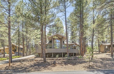 Majestic home perched on a large custom lot with tons of windows - photo 3