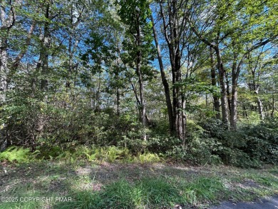 Lake Lot For Sale in Jim Thorpe, Pennsylvania