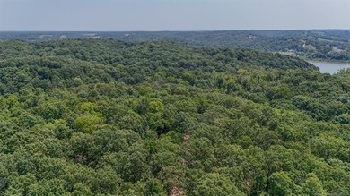 Grand Lake O the Cherokees Acreage For Sale in Wyandotte Oklahoma