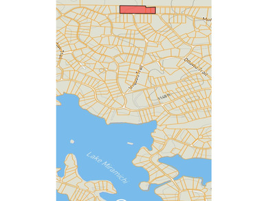 Lake Miramichi  Acreage For Sale in Evart Michigan