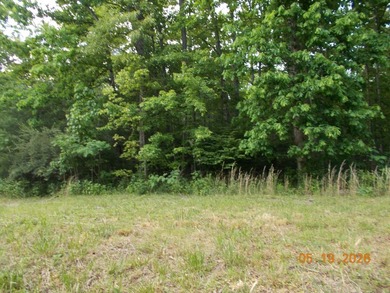 ONE OF THE MOST BEAUTIFUL LOTS IN LAKE TANSI...DIRECTLY ACROSS - photo 1