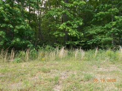 ONE OF THE MOST BEAUTIFUL LOTS IN LAKE TANSI...DIRECTLY ACROSS - photo 2