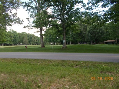 ONE OF THE MOST BEAUTIFUL LOTS IN LAKE TANSI...DIRECTLY ACROSS - photo 4