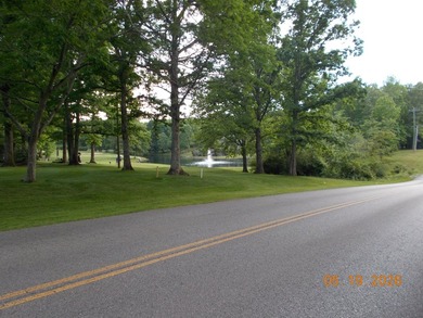 ONE OF THE MOST BEAUTIFUL LOTS IN LAKE TANSI...DIRECTLY ACROSS - photo 5
