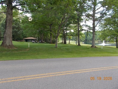 ONE OF THE MOST BEAUTIFUL LOTS IN LAKE TANSI...DIRECTLY ACROSS - photo 7