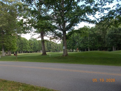 ONE OF THE MOST BEAUTIFUL LOTS IN LAKE TANSI...DIRECTLY ACROSS - photo 8