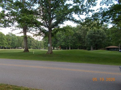 ONE OF THE MOST BEAUTIFUL LOTS IN LAKE TANSI...DIRECTLY ACROSS - photo 9