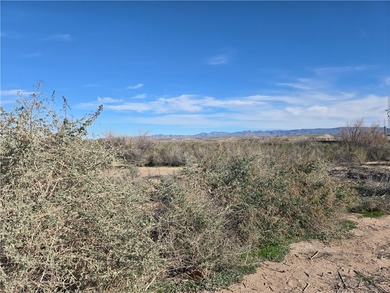 (private lake, pond, creek) Lot For Sale in Mohave Valley Arizona