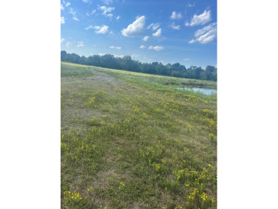 Nice property with lots of potential, River front would be ideal - photo 2