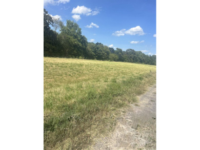 Nice property with lots of potential, River front would be ideal - photo 6
