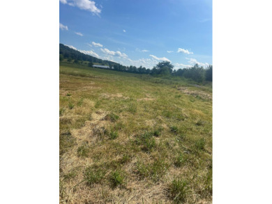 Nice property with lots of potential, River front would be ideal - photo 7