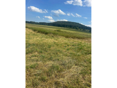 Nice property with lots of potential, River front would be ideal - photo 8